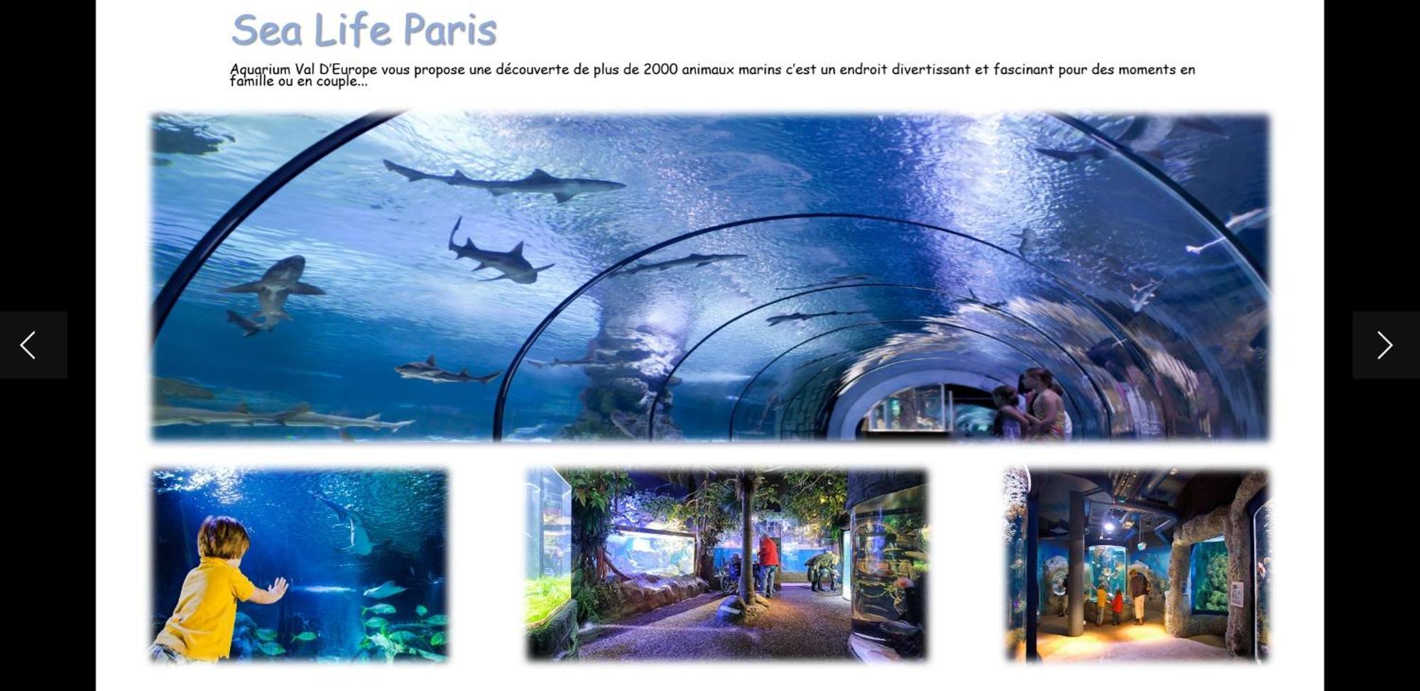 Duplex A 5Min De Disneyland Paris Apartment Montevrain Ngoại thất bức ảnh